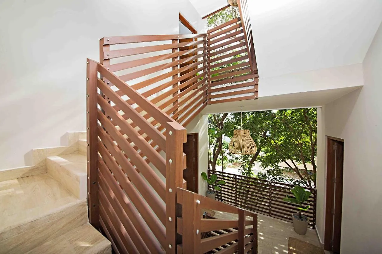 Treetop Cozumel 아파트 호텔 0*,