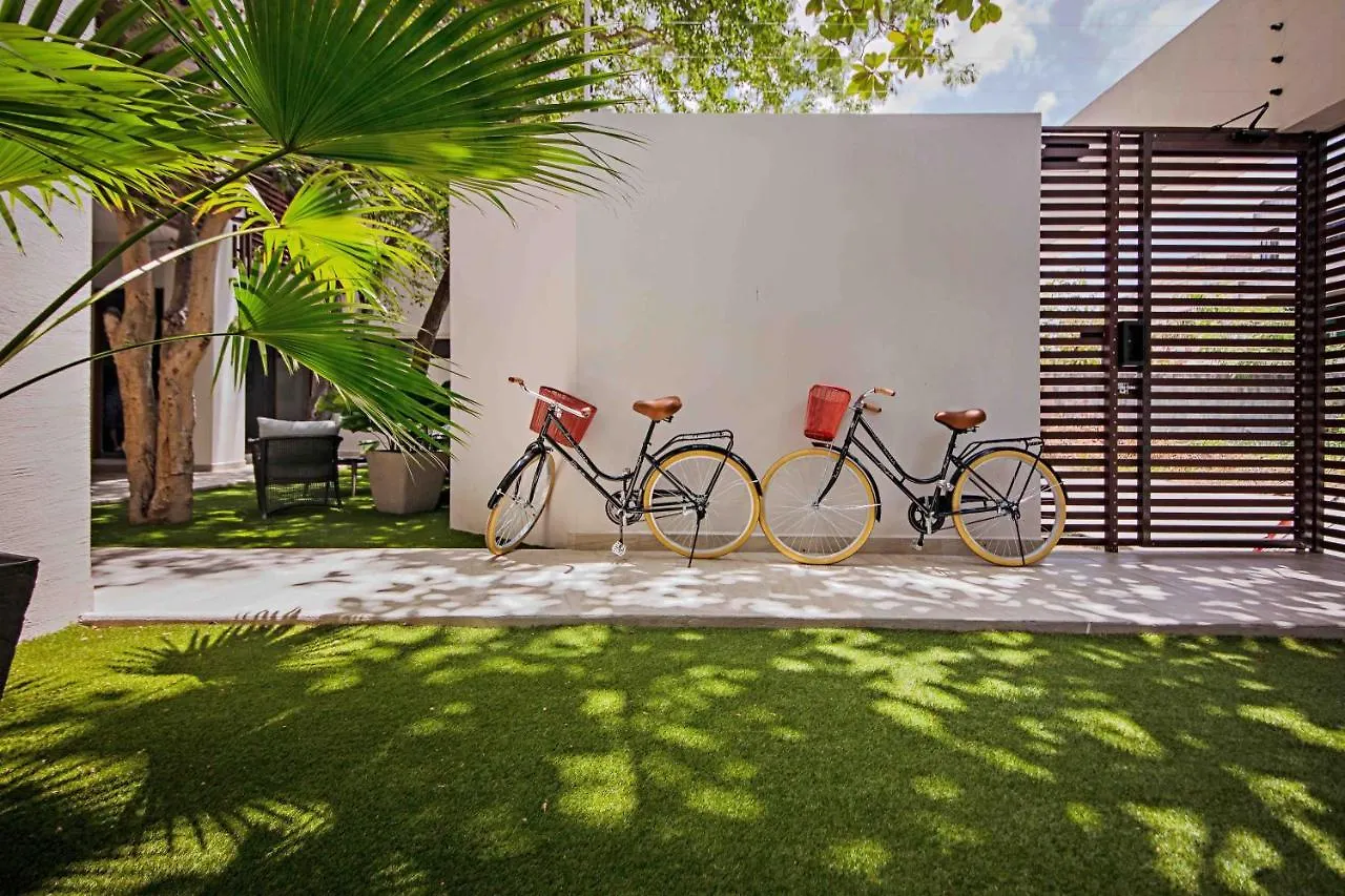 Treetop Cozumel 아파트 호텔 아파트호텔