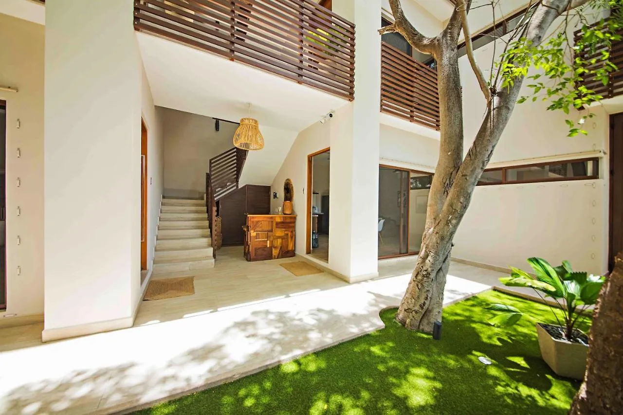 Treetop Cozumel 아파트 호텔 멕시코