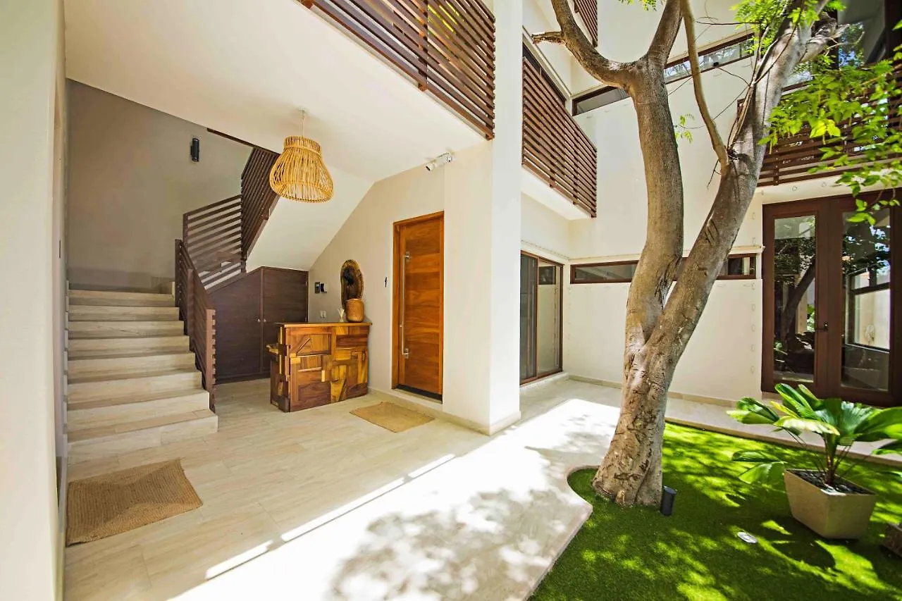 Treetop Cozumel Aparthotel