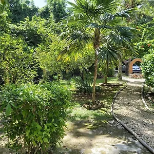 Villa Mini Pini Bird Watching And Cenote Loft, Cozumel